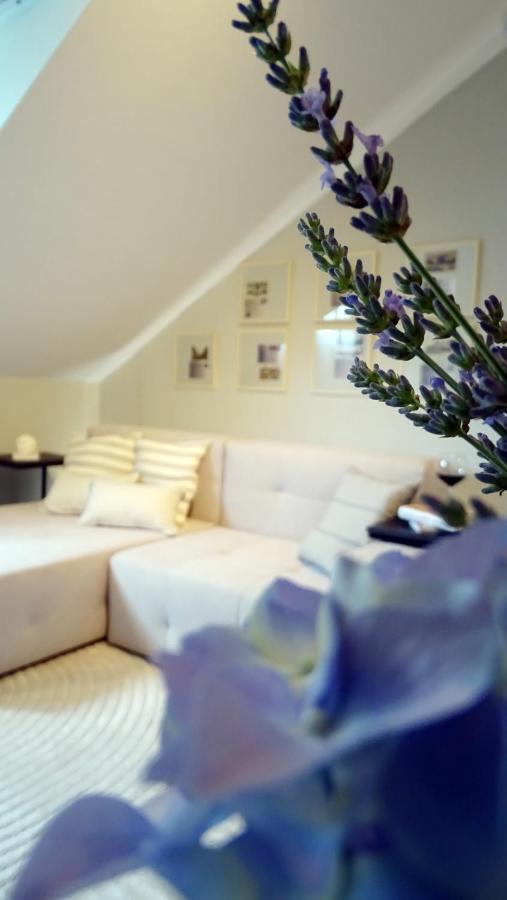 Petite Grey Apartment With Free Private Parking Zagreb Exterior foto